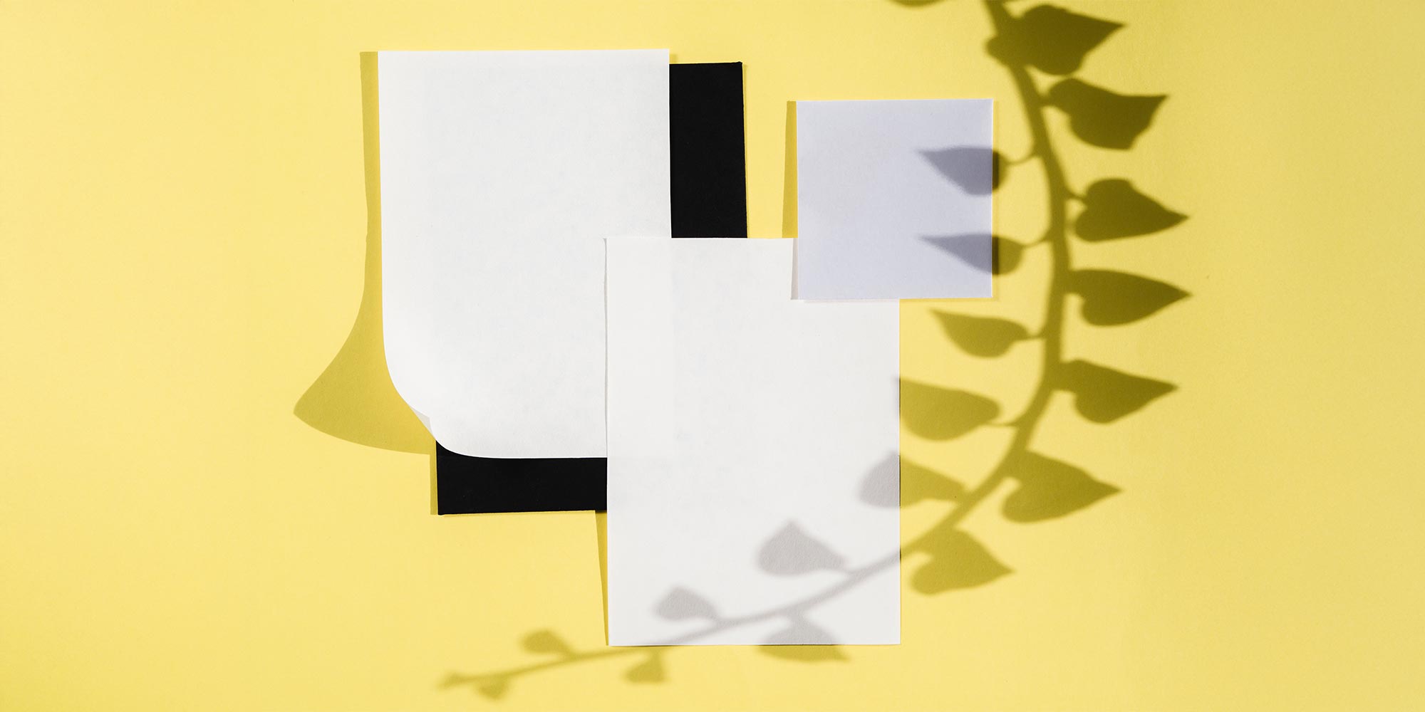 How-to-Brief-Your-Designer-(Don't-Fuck-This-Up)