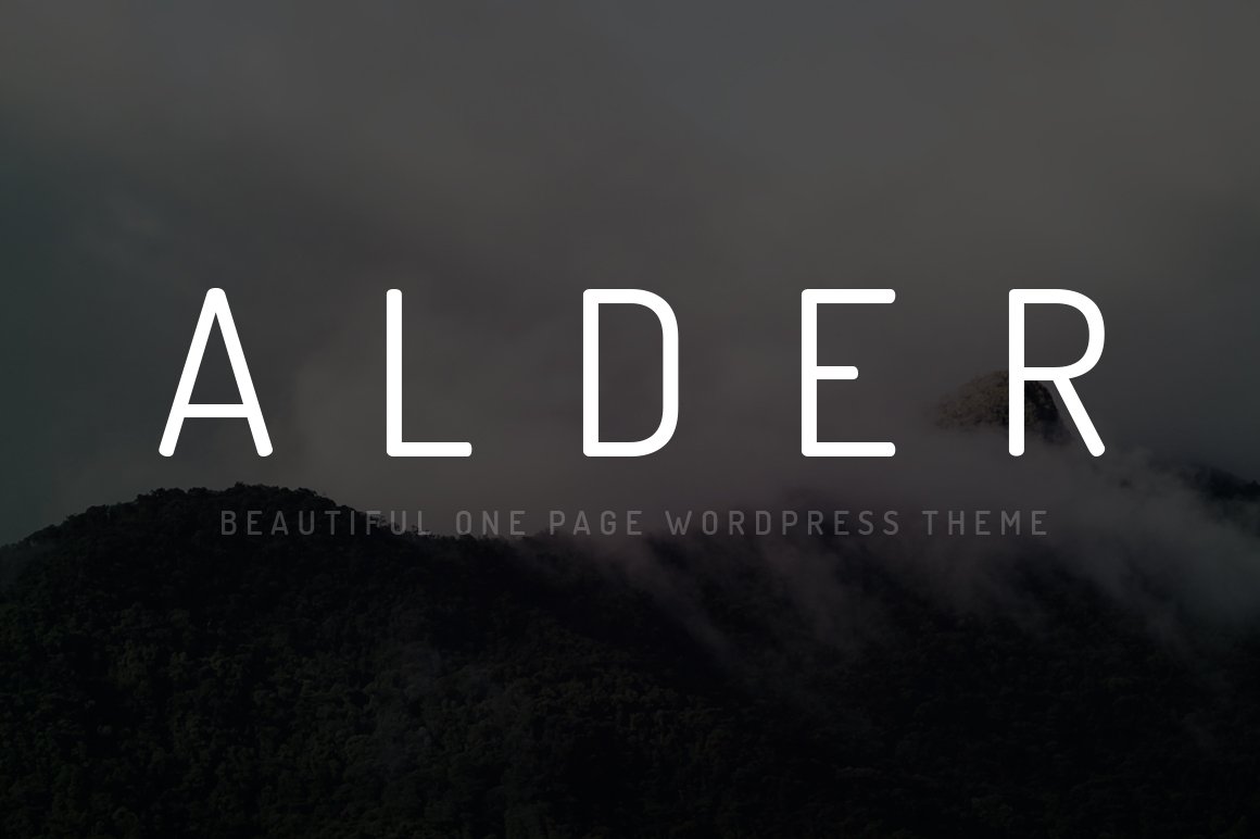 15 Minimalist WordPress Themes (2023 Update) - 04 Alder Website Theme