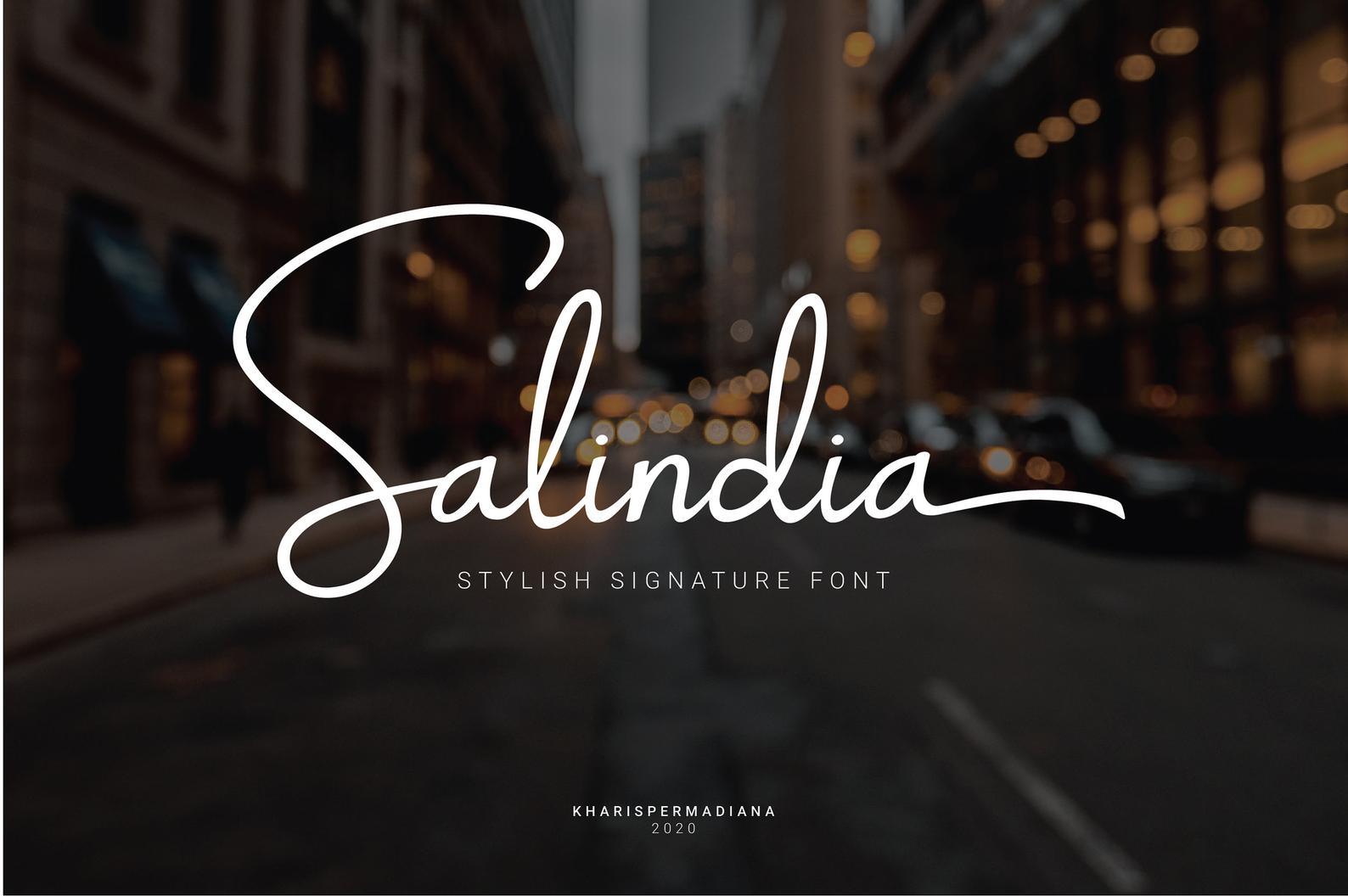 12 Best Script Fonts For Branding And Logo Design - 09 Salindia Typeface