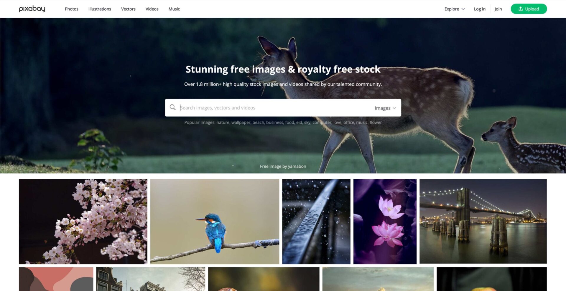 15 Free Stock Photography Websites You Should Be Using For Your Next Project - 10 Free Stock Websites pixabay scaled 1