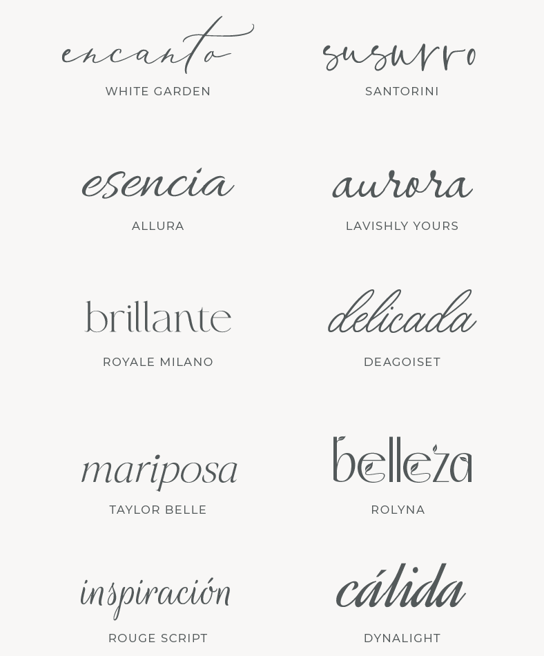 10 Tipografías Femeninas para Branding Sofisticado (Gratis y Premium)