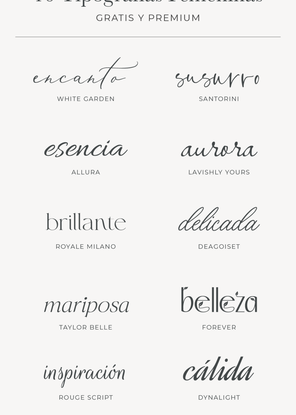 10 Tipografías Femeninas para Branding Sofisticado (Gratis y Premium)